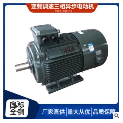 廠家直供三相異步電動(dòng)機(jī)馬達(dá)YVF2200L2-2 37KW高效電機(jī)全銅國標(biāo)