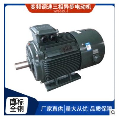 廠家直供三相異步電動(dòng)機(jī)馬達(dá)YVF2160L-2 18.5KW高效電機(jī)全銅國標(biāo)