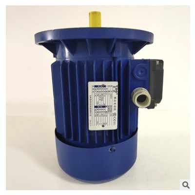 批發(fā)清華紫光電機750w 三相異步電動機