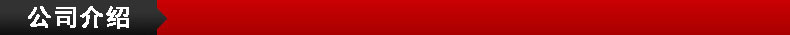 公司介紹標(biāo)題