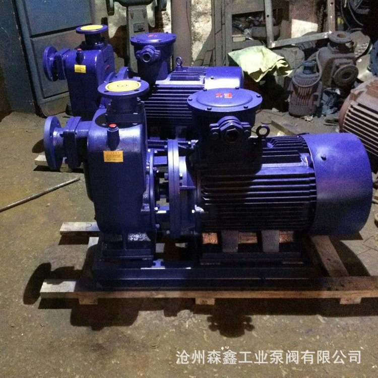 森鑫** CYZ-型自吸式離心油泵 銅葉輪輸送汽柴油 防爆電動油泵 規(guī)格齊全示例圖6