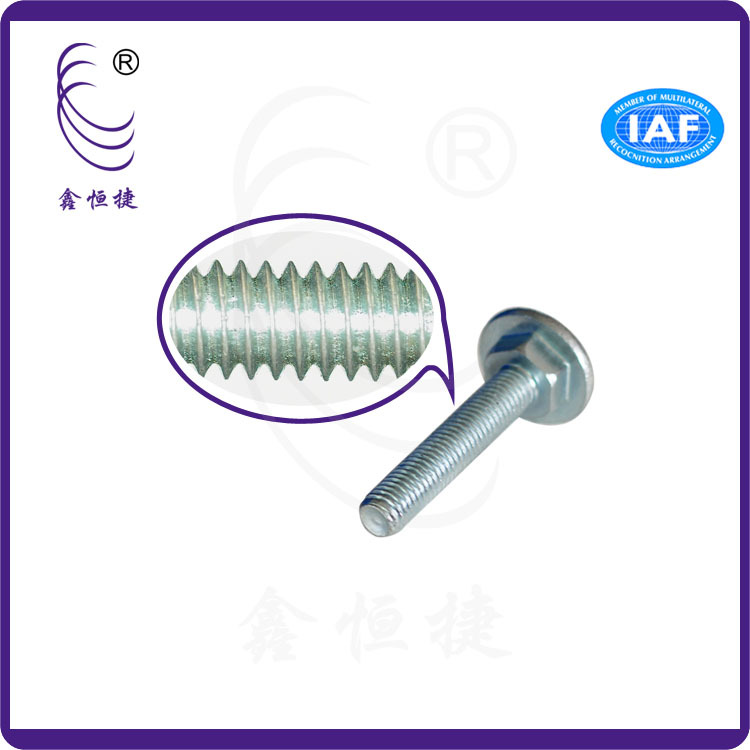 內(nèi)六角馬車螺絲-2