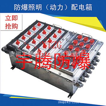 BXM（D）-G系列防爆照明（動(dòng)力）配電箱（IIB）