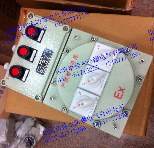 防爆配電箱IIC級 6