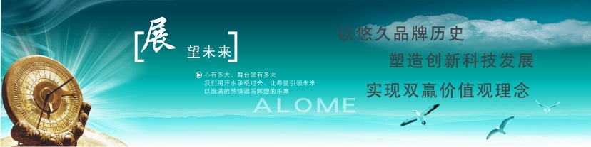 企業(yè)愿景