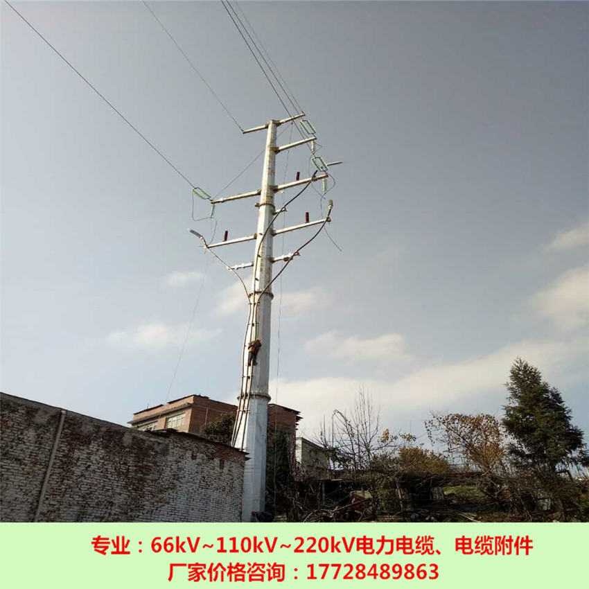 2019年電纜 電纜、電纜頭的價格