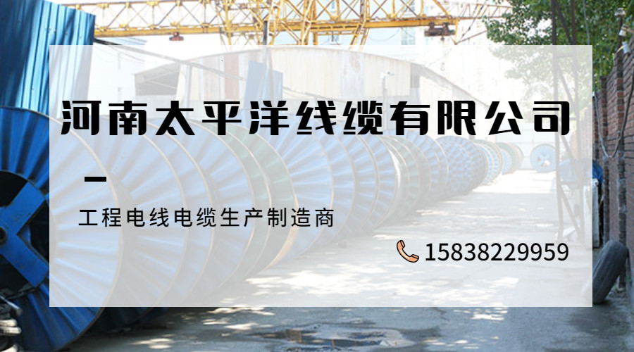 電力電纜 礦物質(zhì)電纜 電纜廠家