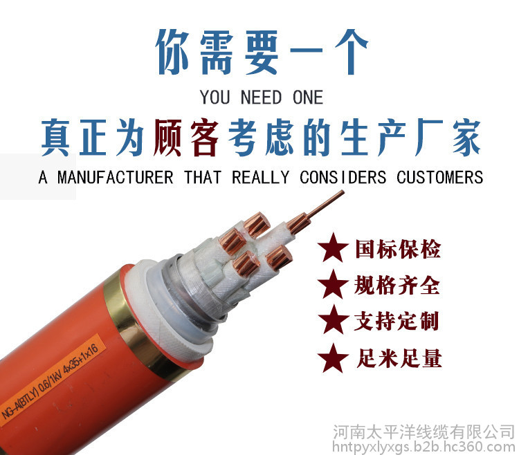礦物絕緣電纜生產(chǎn)廠家供應(yīng)礦物絕緣電纜 bttz礦物絕緣電纜型號