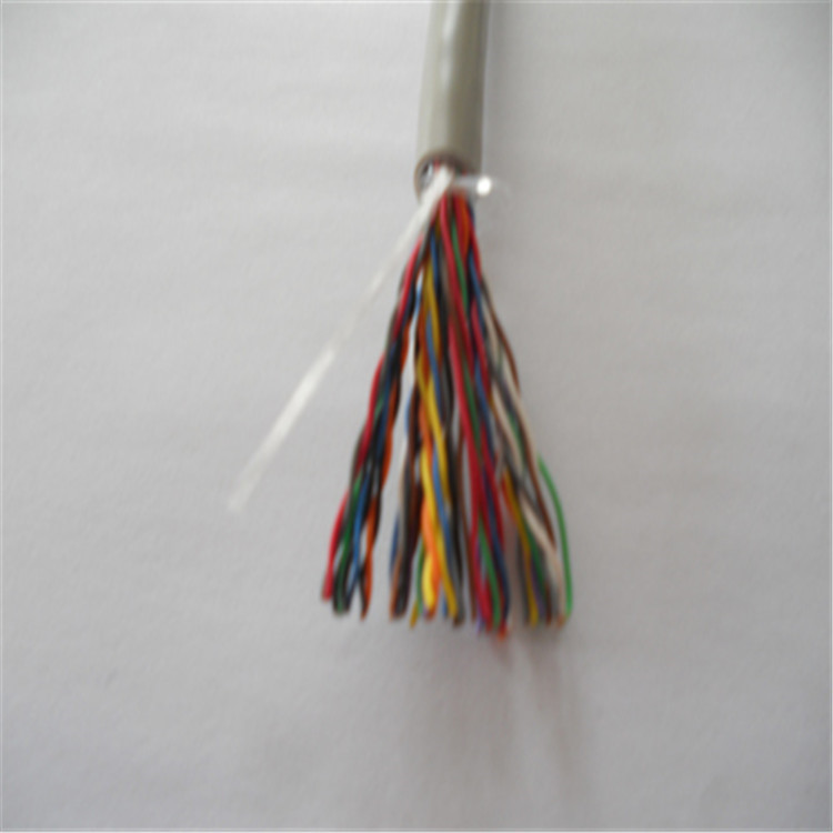 SBVVP24*2*0.4 交換機(jī)信號電纜 國標(biāo)電纜