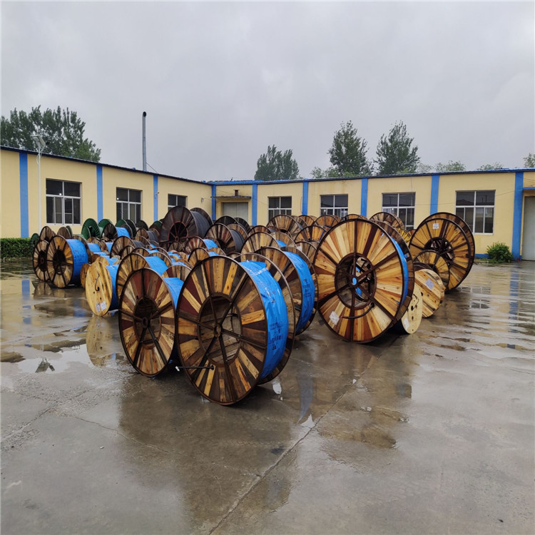 【天聯(lián)品牌】YVFR-2*300電動(dòng)工具專用電纜按需定做