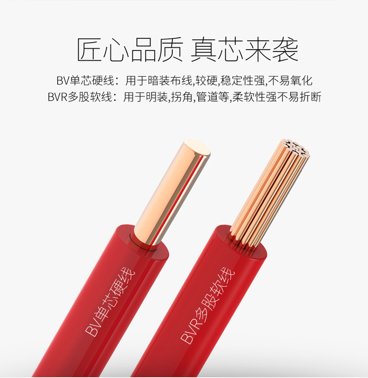 阻燃電線 工程電纜 鄭州電纜廠 ZA-BV線