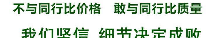 圖片上傳