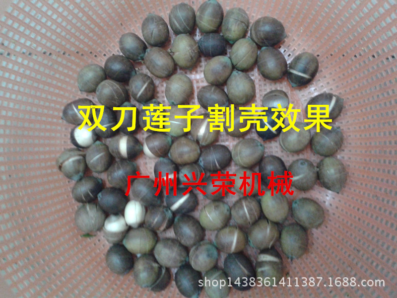 雙刀蓮子機
