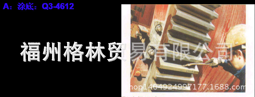 圖片11