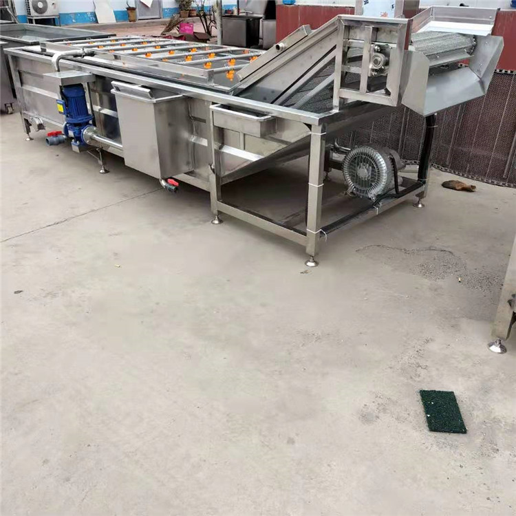 景翔牌 玉米加工清洗機(jī) 蕓豆清洗機(jī) 香菇清洗加工設(shè)備