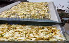 佛手片烘干機(jī)