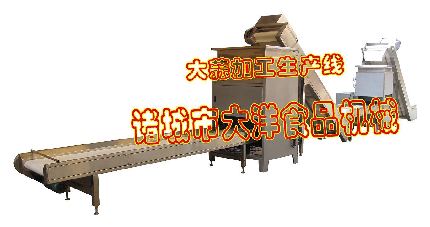 大蒜加工生產(chǎn)線