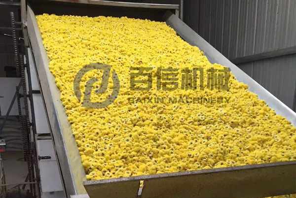 皇菊烘干機現(xiàn)場-1