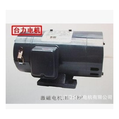 TAI LI 臺(tái)力電機(jī)供應(yīng)1hp-5hp激磁直流電機(jī)(4線)