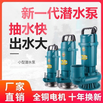 抽水電機(jī)水泵一寸污水泵深井潛水泵220v家用農(nóng)業(yè)灌溉壓水井抽水泵
